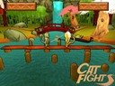 cat fights