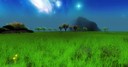 mydream green field
